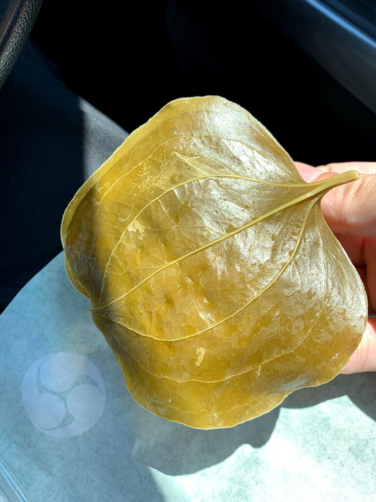 巴屋製菓舗