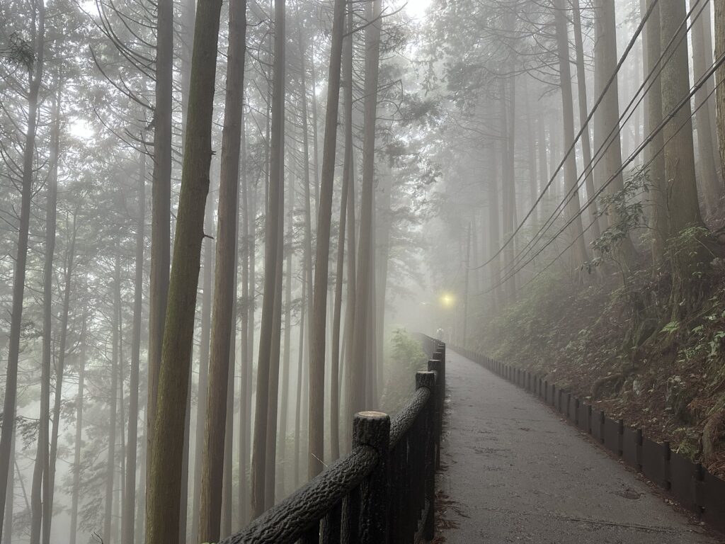 御岳山・沢井柚子羊羹